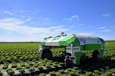 Сельское хозяйство в контролируемой среде: плодородный ландшафт для поставщиков роботов