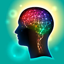 Улучшение концентрации внимания и памяти с помощью витаминов, препаратов и правильных продуктов