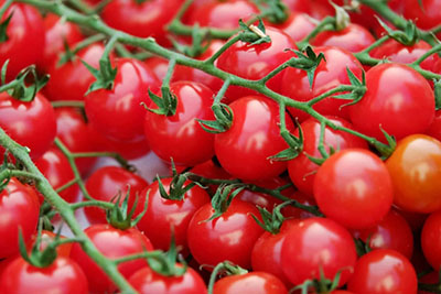 Как выбрать подходящий сорт томатов для выращивания