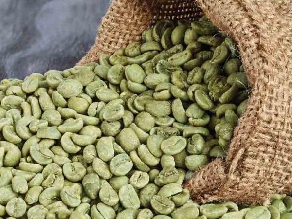 Зеленый кофе — вред или польза